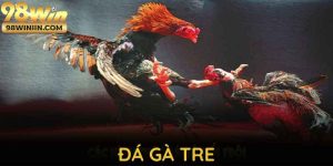 Đá Gà Tre Tại 98WIN - Các Hình Thức Cá Cược Đỉnh Cao