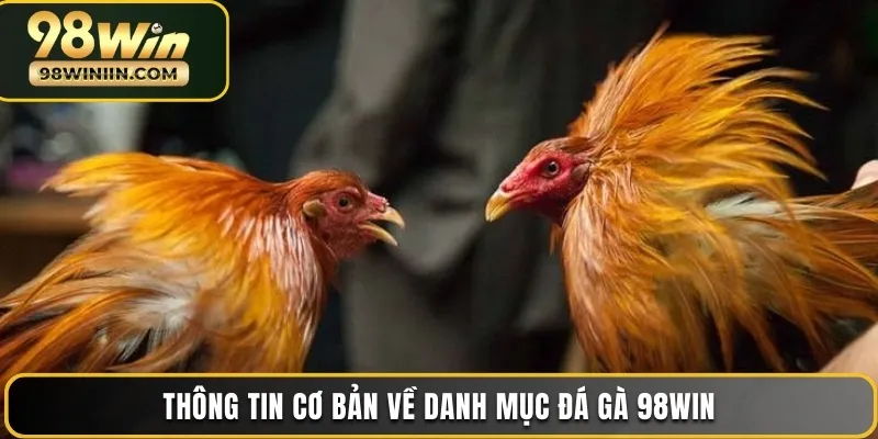 Thông tin cơ bản về danh mục đá gà 98WIN